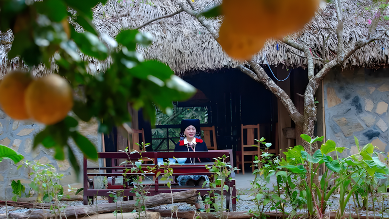 Dao House (2)